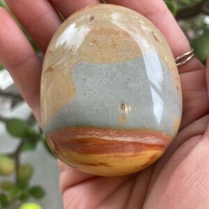 Polychrome jasper tumbled palmstone